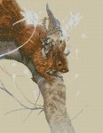 (image for) Squirrel